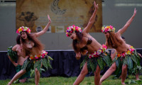 Pacific Islands Come to Life in Newhall