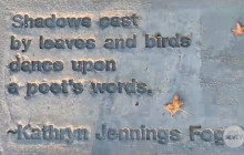 2020 Sidewalk Poetry Contest: Kathryn Jennings Fogg’s Poem