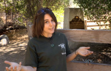Placerita Canyon Nature Center Tour with Philip Scorza & Jessica Nikolai