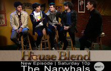Promo: The Narwhals