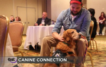 Vandenberg Launch Rescheduled; Dogs Help Heal Marines; more