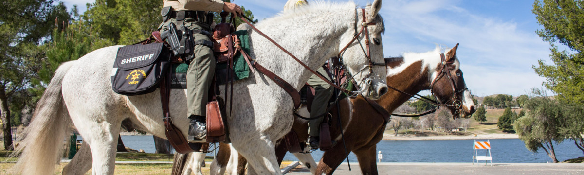 Spotlight Series: Mounted Enforcement Unit Fights Crime From Horseback