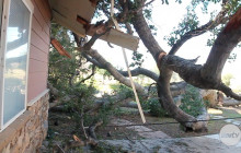 Downed Oak Tree Wreaks Havoc for Sand Canyon Resident