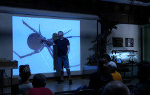 Placerita Nature Center Lecture: Venomous Arthropods