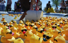Rubber Ducks Race to Raise Money for Local Family Health