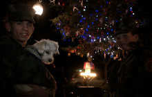 Annual Tree Lighting Provides Recognition for Veterans and Active Service Members