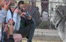 Castaic Middle School Helps Local Animal Shelter