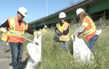 Caltrans News Flash: Help Save Millions Spent on Clearing Litter