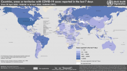 WHO Director General: Most Important Resource to Combat COVID-19 is Solidarity