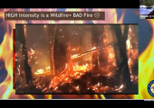 California, It’s Lit! The Burning Effects of Wildfire in the Lake Tahoe Basin