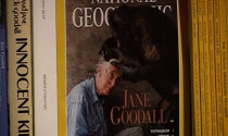 Jane Goodall Retrospective, Lost Empire of Cambodia
