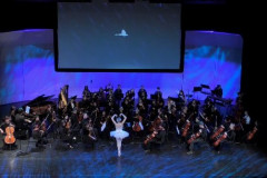 Santa Clarita Valley Youth Orchestra Presents ‘Carnival of Animals’