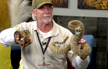 SCVTV’s Community Corner: A Guide to Rattlesnake, Wildlife Safety