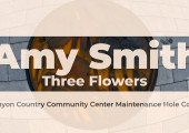 Get to Know Maintenance Hole Cover Artist Amy Smith