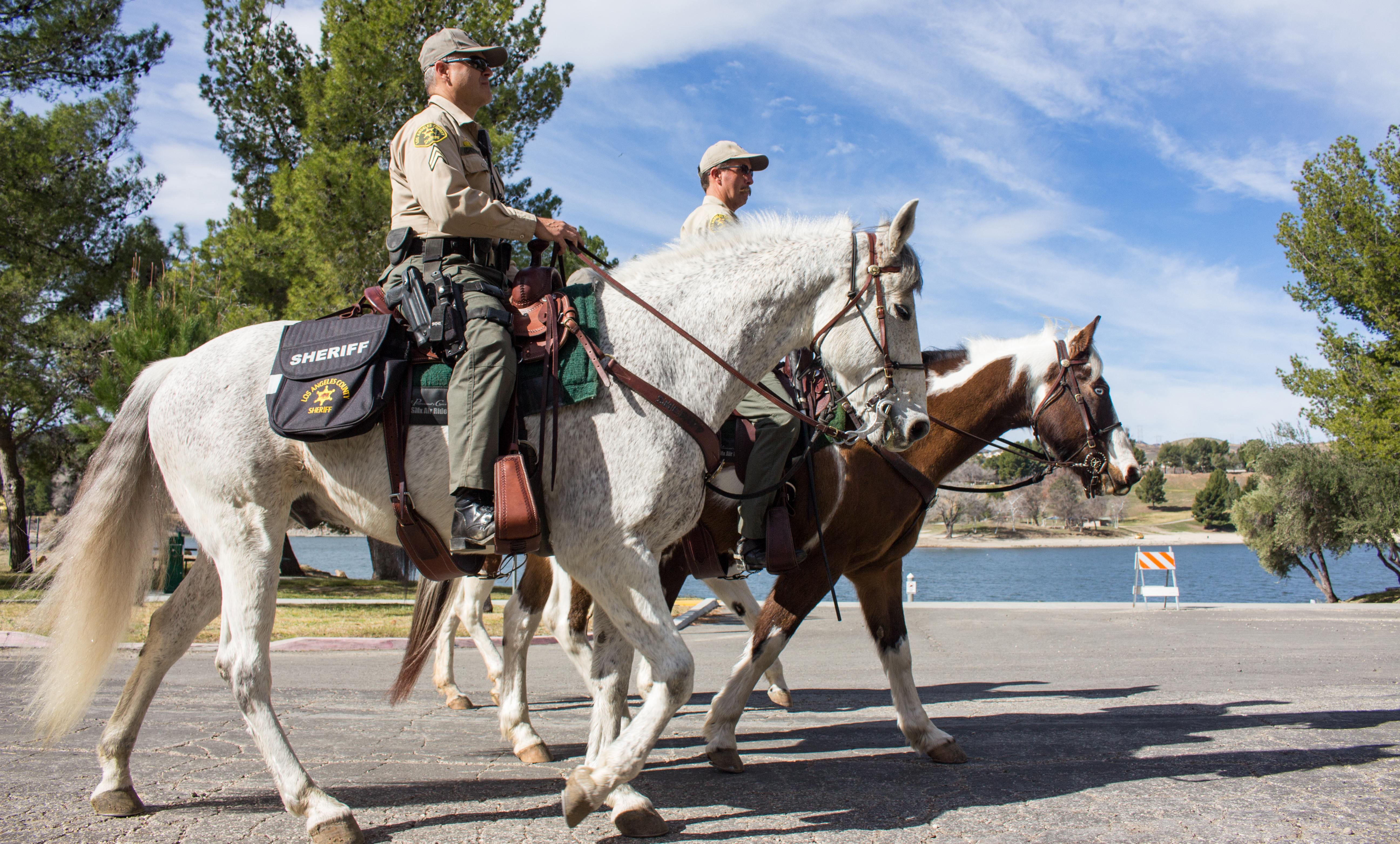 Spotlight Series Spotlight Series Mounted Enforcement