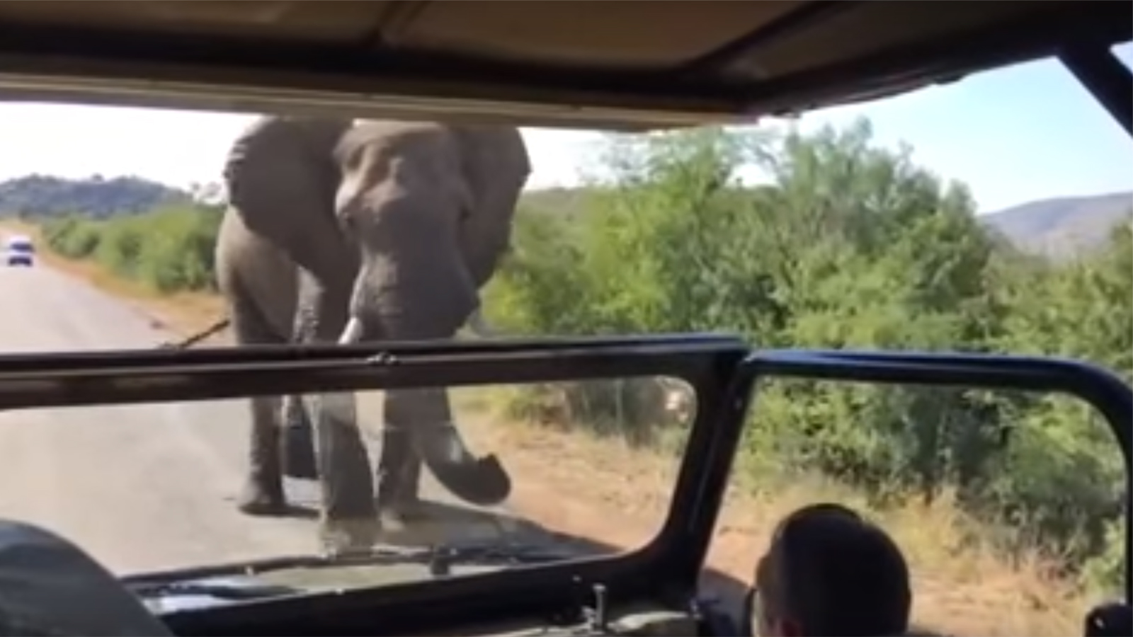 Два магараджи едут на слонах навстречу друг. Слон Арнольд. Epic Safari encounters. Daisy got very close to some Elephants the Jeep got Stuck.